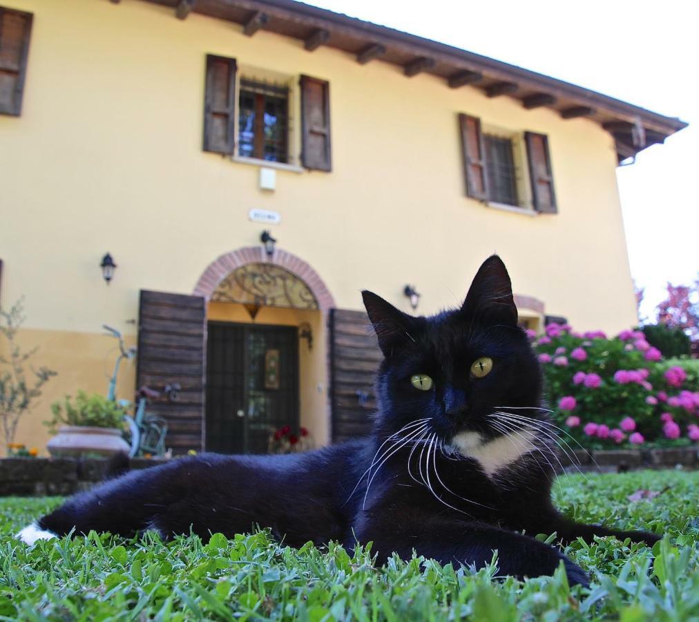 Casale La Decima Acomodação com café da manhã Budrio  Exterior foto
